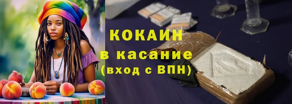 соль ск Абаза