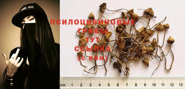 соль ск Абаза