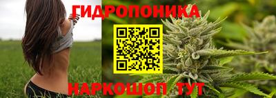 МДПВ Усть-Илимск