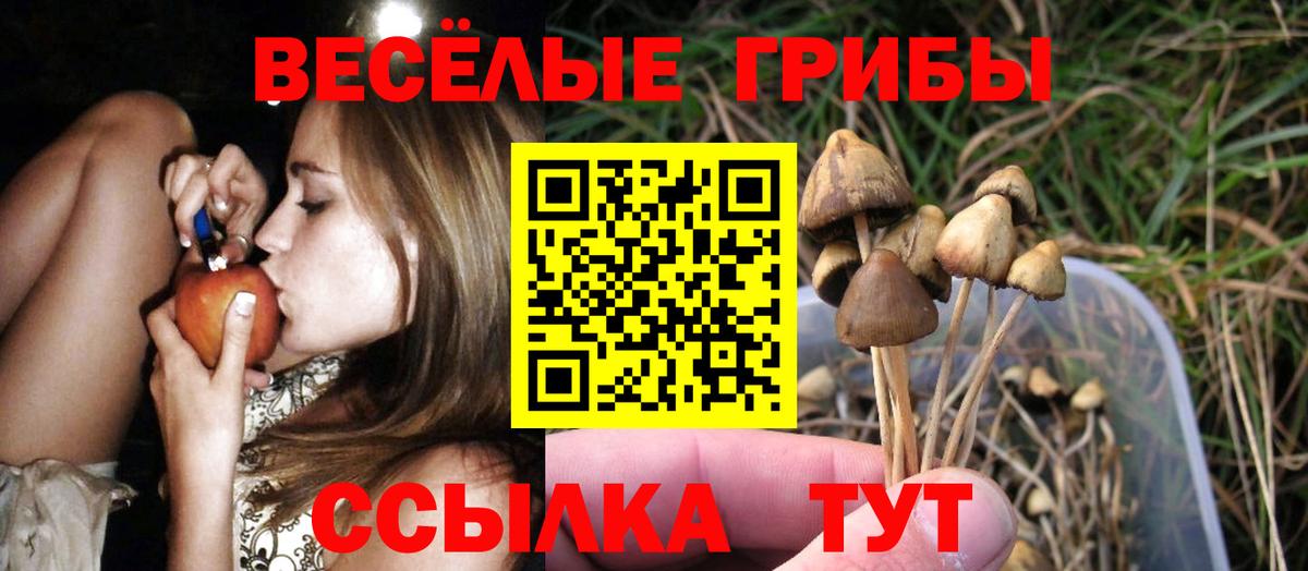 Галлюциногенные грибы MAGIC MUSHROOMS  Вход с VPN  Псилоцибиновые грибы мухоморы  Новочебоксарск 